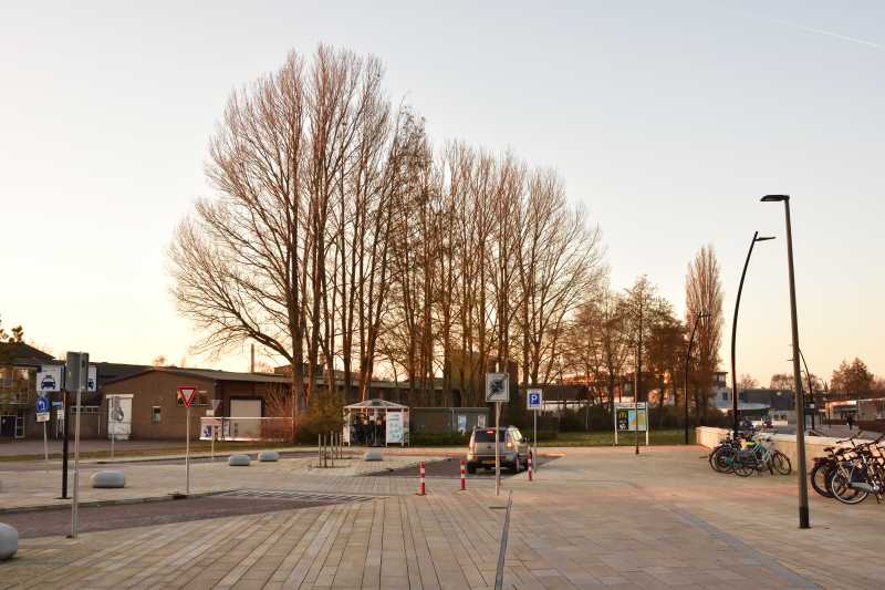 Bomen verdwijnen bij VSE